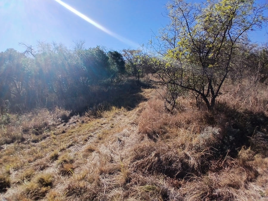 4 Bedroom Property for Sale in Modimolle Rural Limpopo