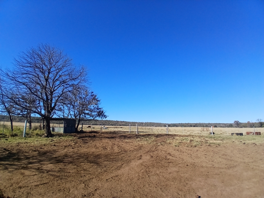 4 Bedroom Property for Sale in Modimolle Rural Limpopo