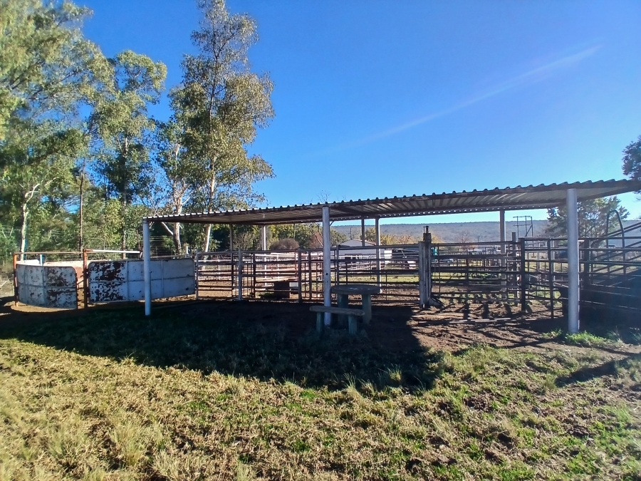 4 Bedroom Property for Sale in Modimolle Rural Limpopo