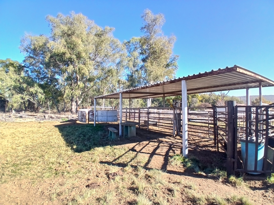 4 Bedroom Property for Sale in Modimolle Rural Limpopo