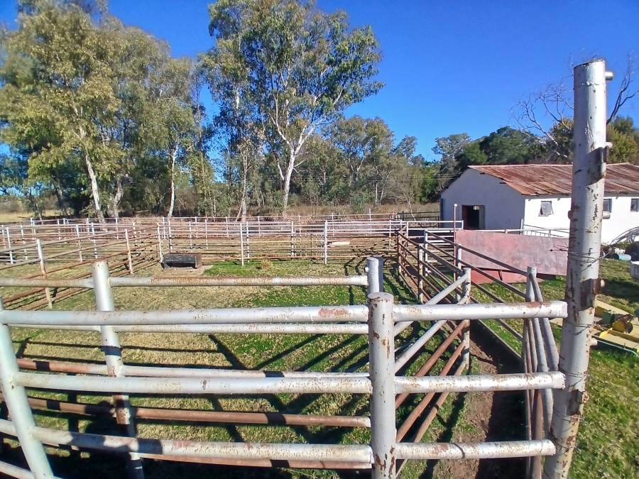 4 Bedroom Property for Sale in Modimolle Rural Limpopo