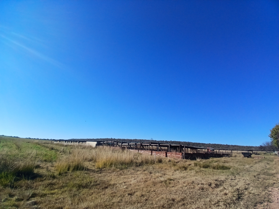 4 Bedroom Property for Sale in Modimolle Rural Limpopo