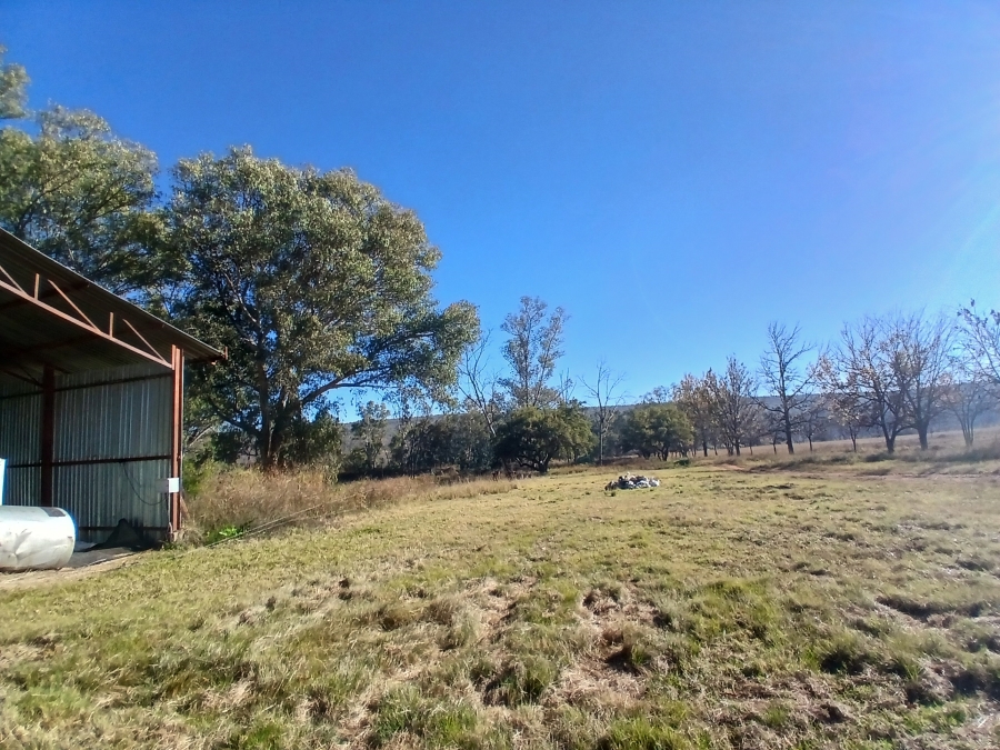 4 Bedroom Property for Sale in Modimolle Rural Limpopo
