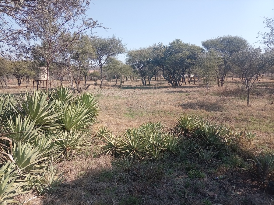0 Bedroom Property for Sale in Bela Bela Limpopo