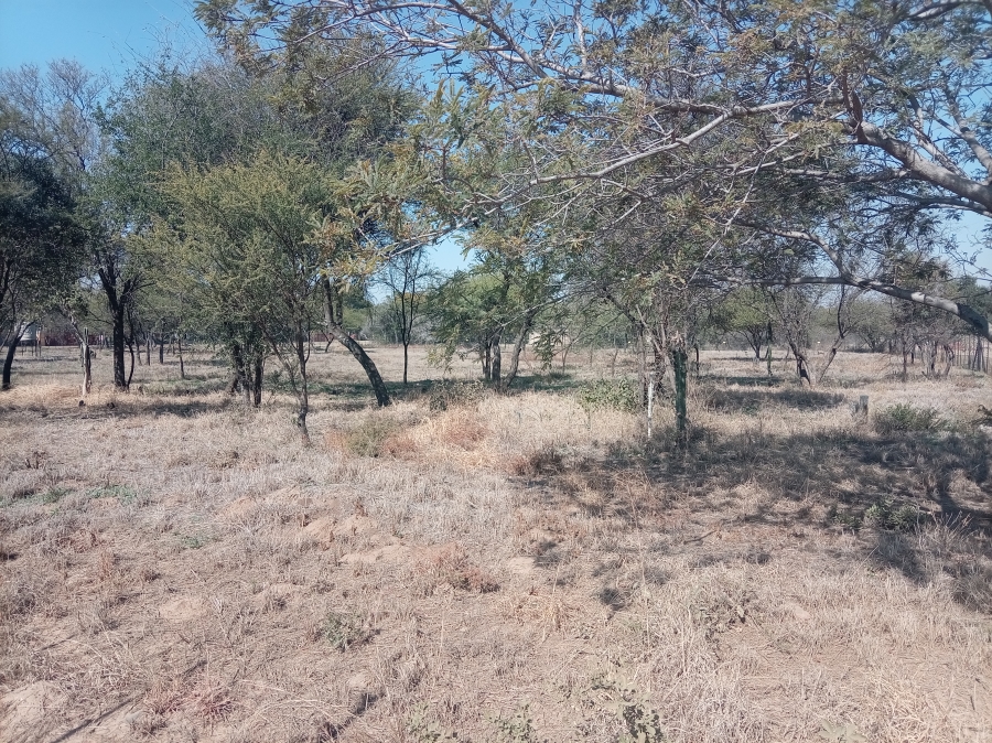 0 Bedroom Property for Sale in Bela Bela Limpopo