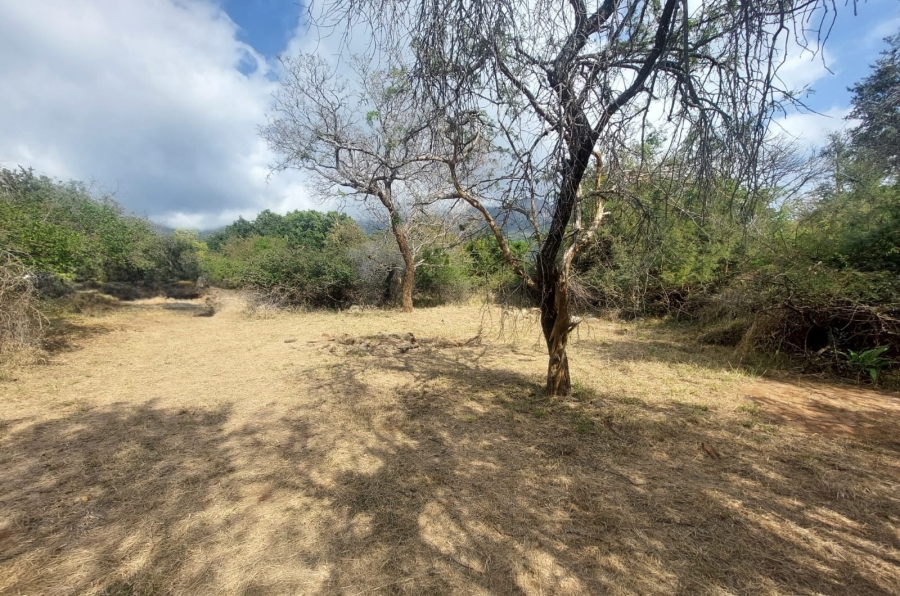 To Let 2 Bedroom Property for Rent in Kampersrus Limpopo
