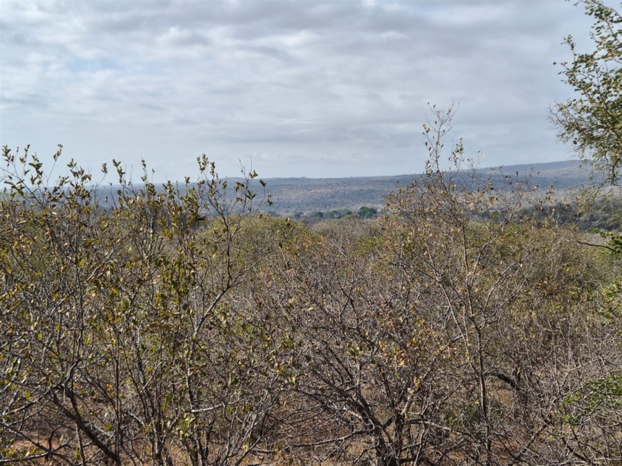 3 Bedroom Property for Sale in Elephant Rock Eco Estate Limpopo