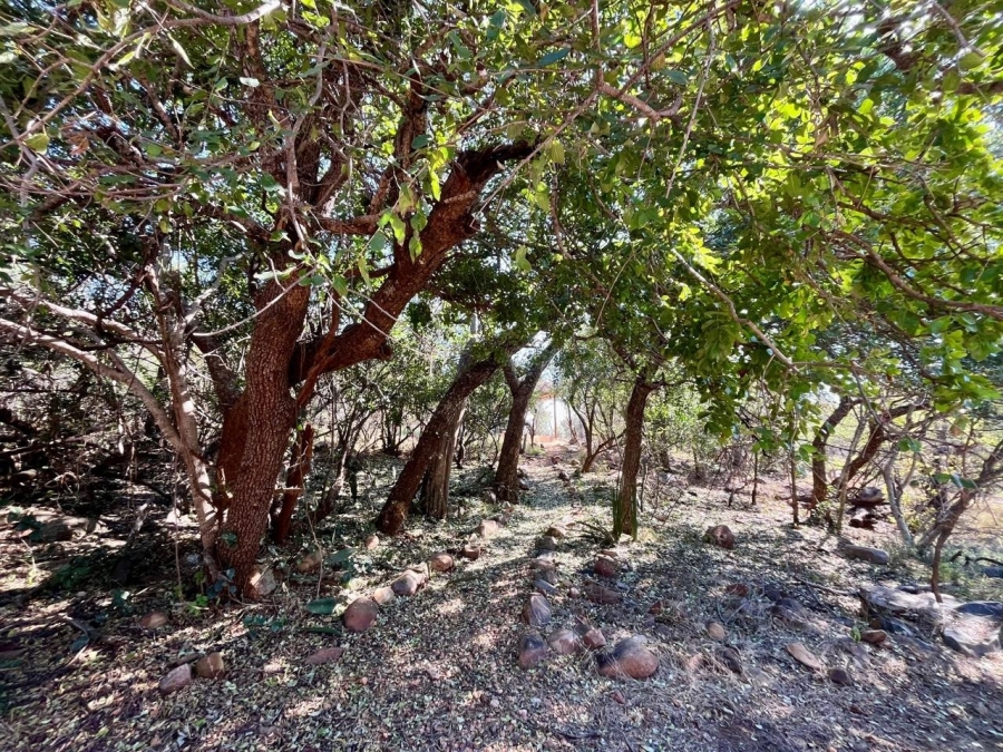 To Let 3 Bedroom Property for Rent in Canyon Game Reserve Limpopo