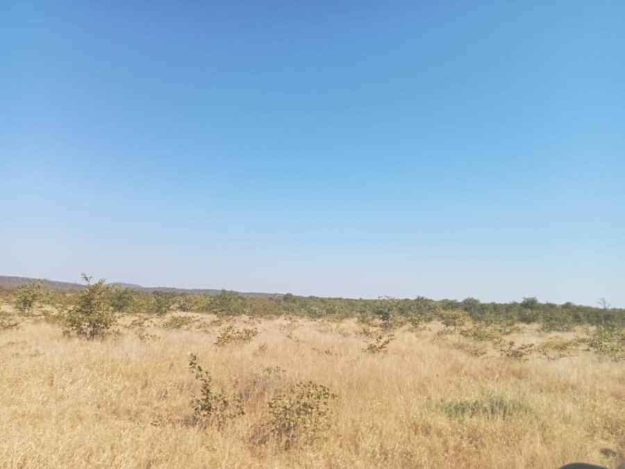 5 Bedroom Property for Sale in Musina Limpopo