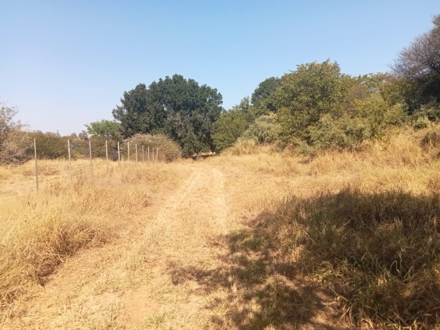 5 Bedroom Property for Sale in Musina Limpopo
