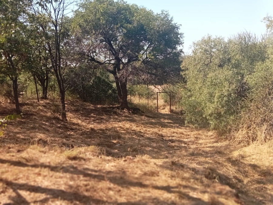 5 Bedroom Property for Sale in Musina Limpopo