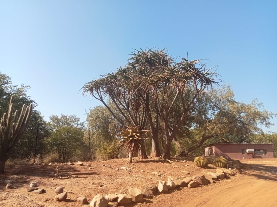 5 Bedroom Property for Sale in Musina Limpopo