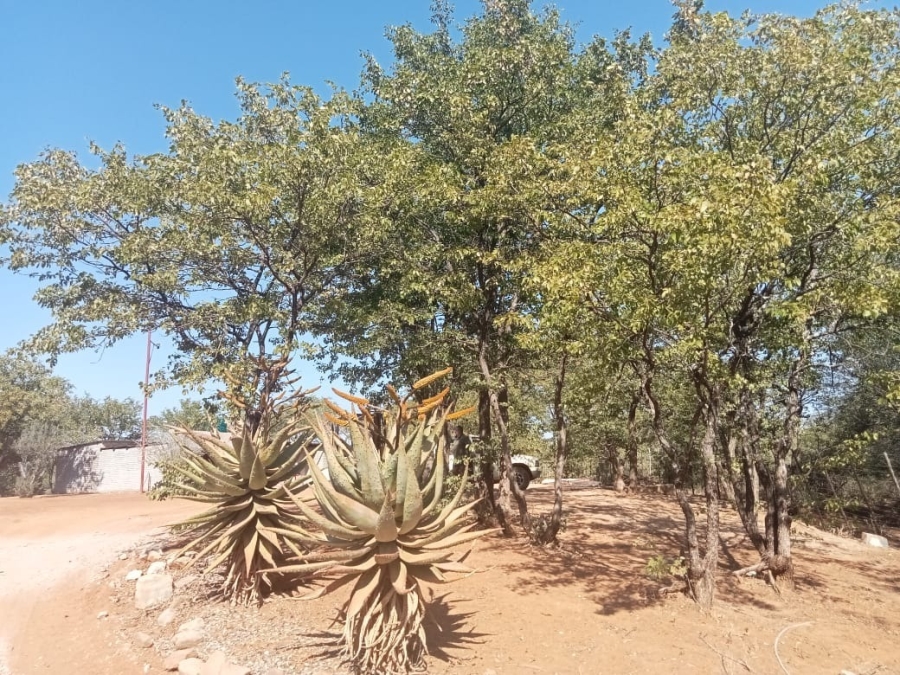 5 Bedroom Property for Sale in Musina Limpopo