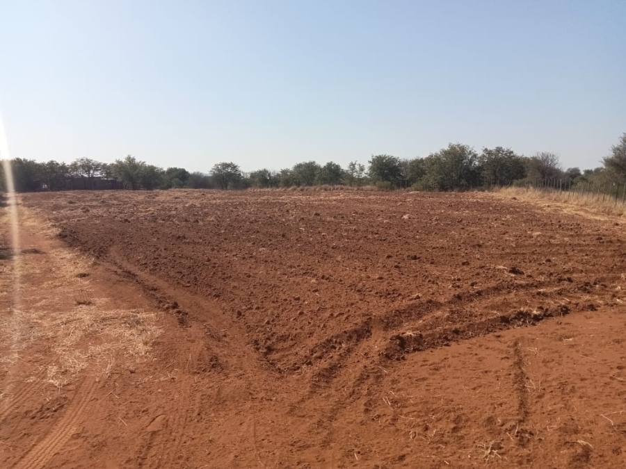 5 Bedroom Property for Sale in Musina Limpopo