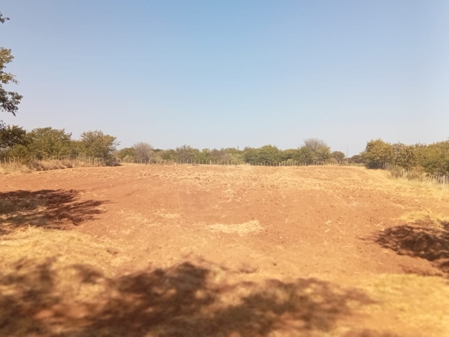 5 Bedroom Property for Sale in Musina Limpopo