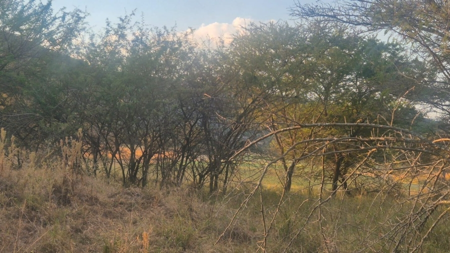 0 Bedroom Property for Sale in Mookgopong Limpopo