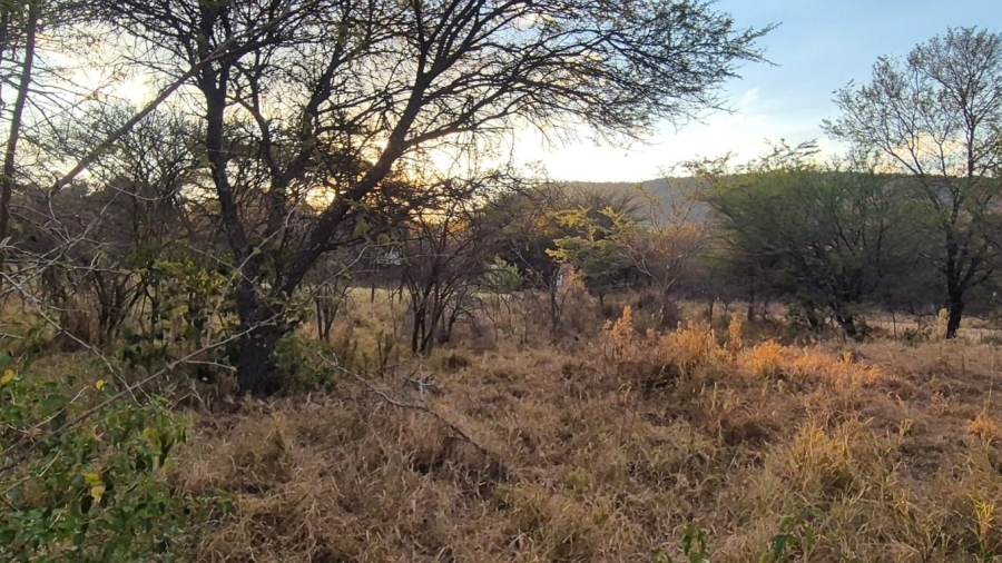0 Bedroom Property for Sale in Mookgopong Limpopo