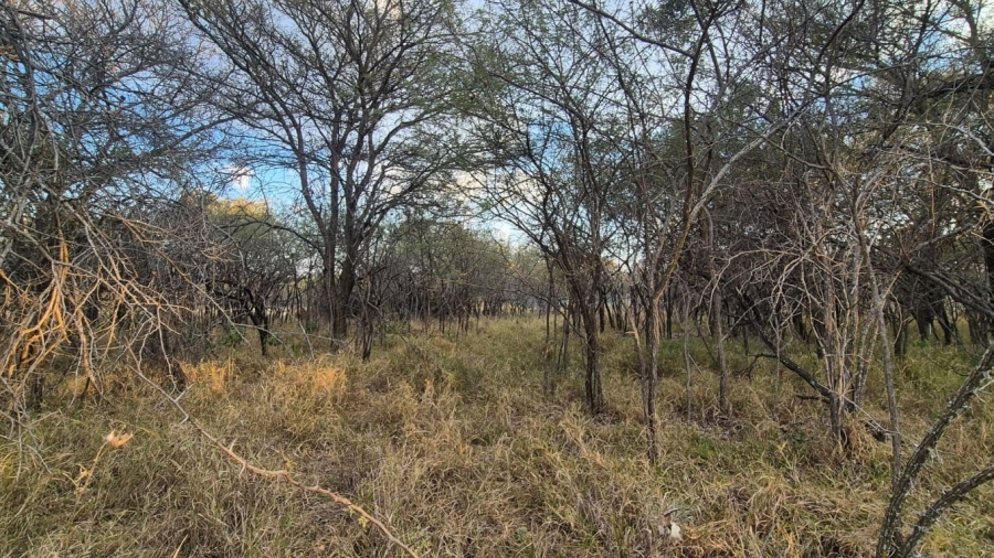 0 Bedroom Property for Sale in Mookgopong Limpopo