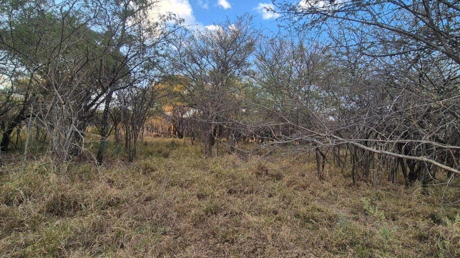 0 Bedroom Property for Sale in Mookgopong Limpopo