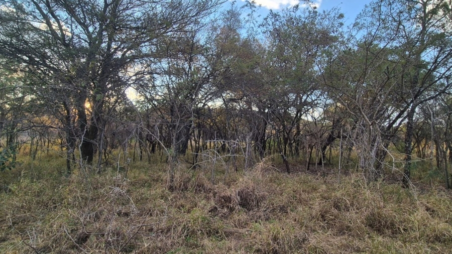 0 Bedroom Property for Sale in Mookgopong Limpopo