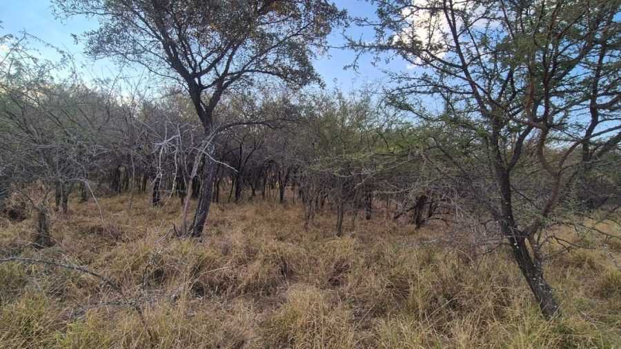 0 Bedroom Property for Sale in Mookgopong Limpopo