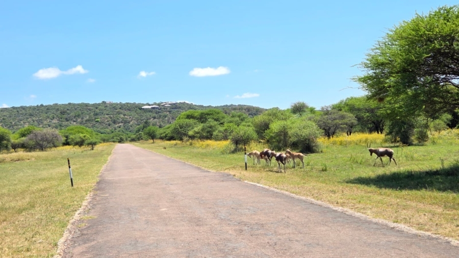 0 Bedroom Property for Sale in Intaba Indle Wilderness Estate Limpopo