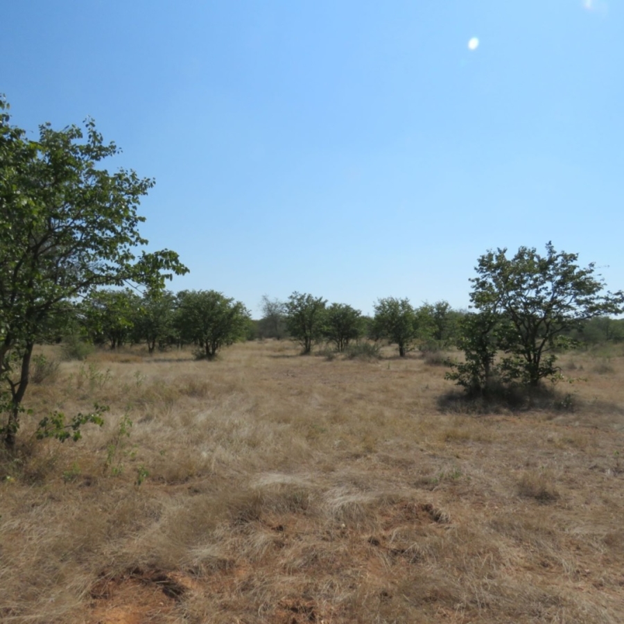 40 Bedroom Property for Sale in Musina Limpopo