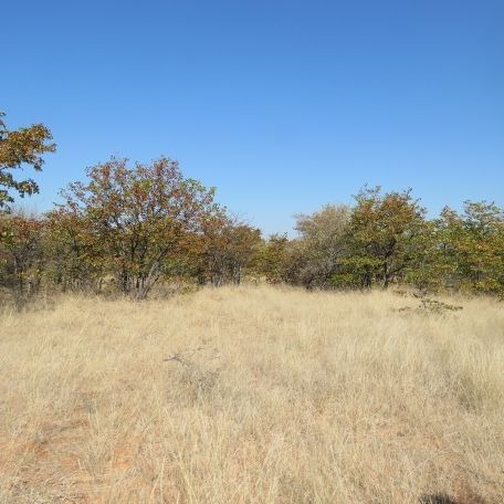 40 Bedroom Property for Sale in Musina Limpopo