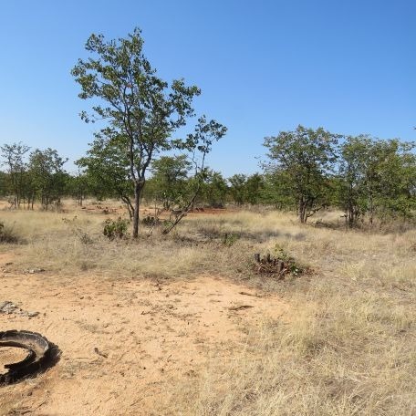 40 Bedroom Property for Sale in Musina Limpopo
