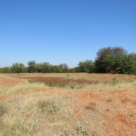 40 Bedroom Property for Sale in Musina Limpopo