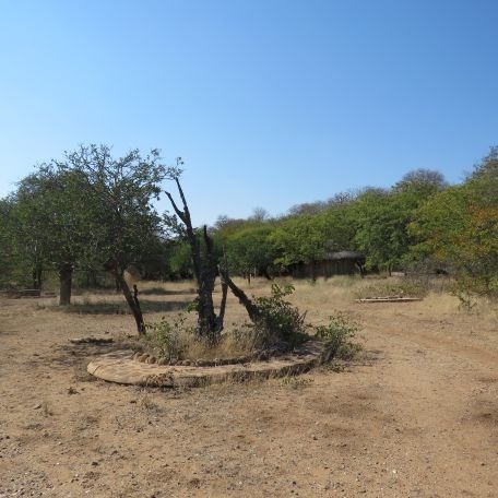 40 Bedroom Property for Sale in Musina Limpopo
