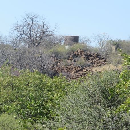 40 Bedroom Property for Sale in Musina Limpopo