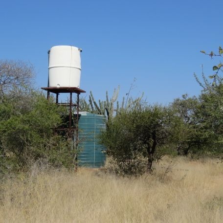 40 Bedroom Property for Sale in Musina Limpopo