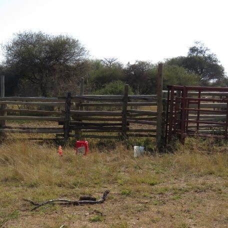 40 Bedroom Property for Sale in Musina Limpopo