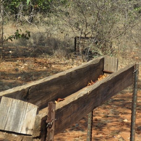 40 Bedroom Property for Sale in Musina Limpopo