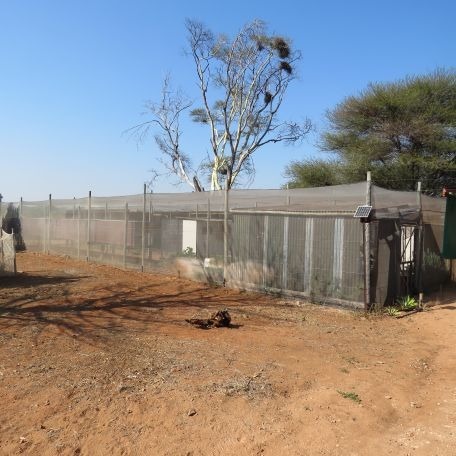 40 Bedroom Property for Sale in Musina Limpopo