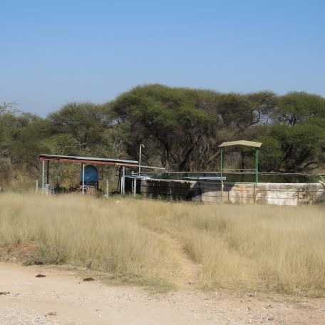 40 Bedroom Property for Sale in Musina Limpopo