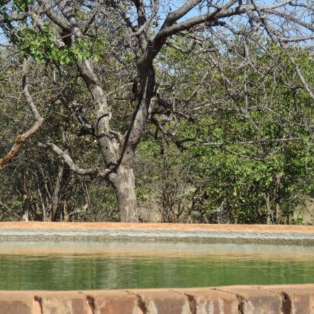 40 Bedroom Property for Sale in Musina Limpopo