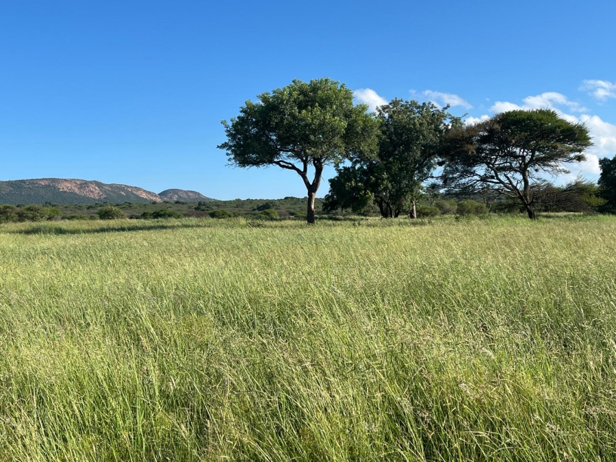 8 Bedroom Property for Sale in Mokopane Rural Limpopo