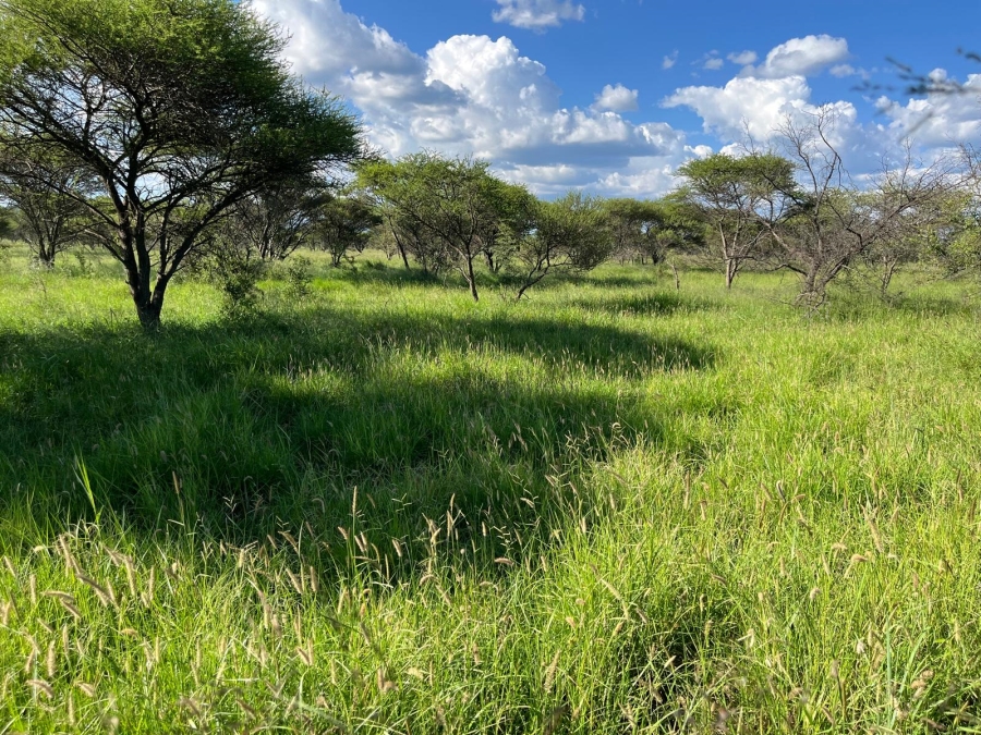 8 Bedroom Property for Sale in Mokopane Rural Limpopo
