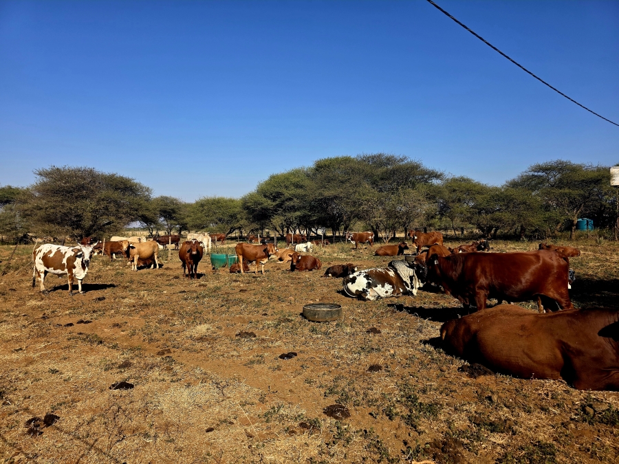 8 Bedroom Property for Sale in Mokopane Rural Limpopo