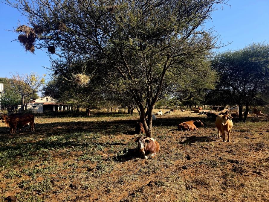 8 Bedroom Property for Sale in Mokopane Rural Limpopo