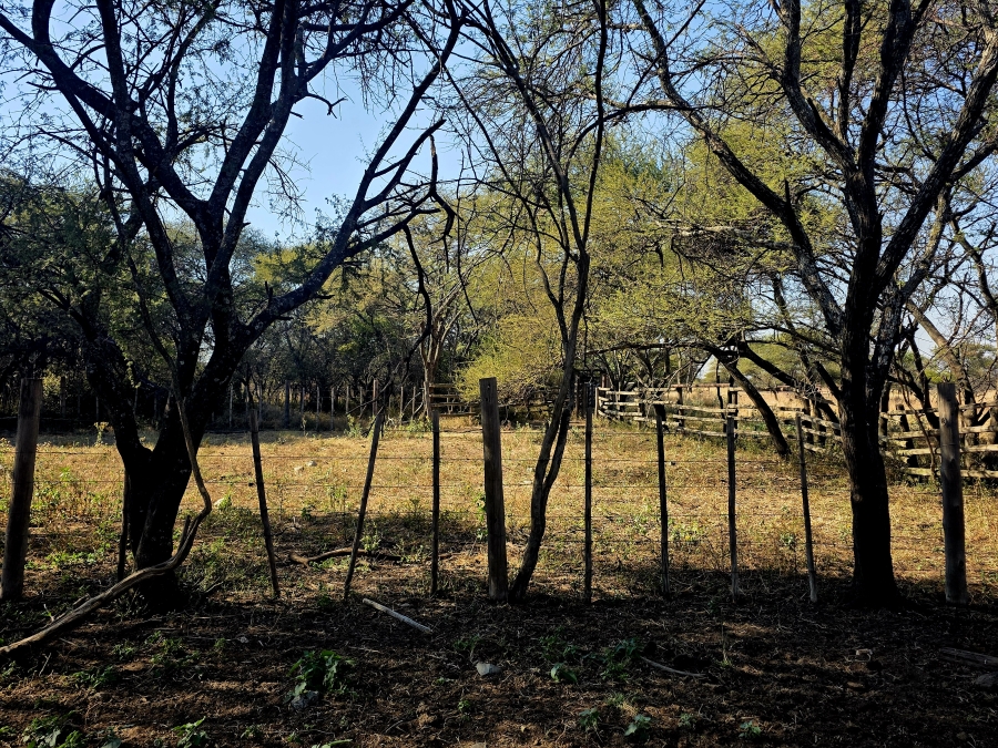 8 Bedroom Property for Sale in Mokopane Rural Limpopo