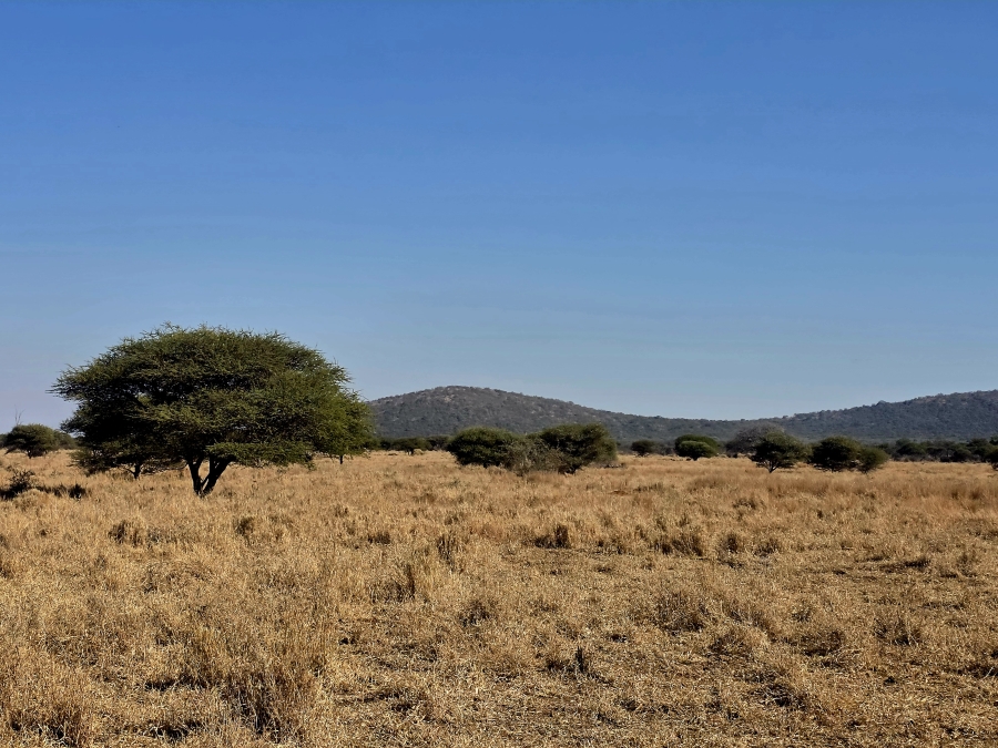 8 Bedroom Property for Sale in Mokopane Rural Limpopo