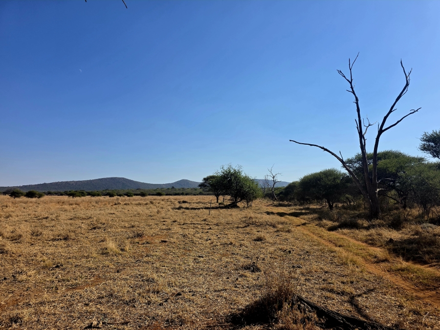 8 Bedroom Property for Sale in Mokopane Rural Limpopo
