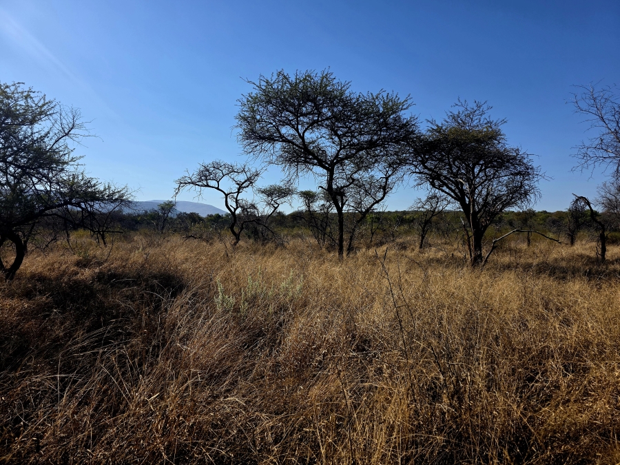 8 Bedroom Property for Sale in Mokopane Rural Limpopo