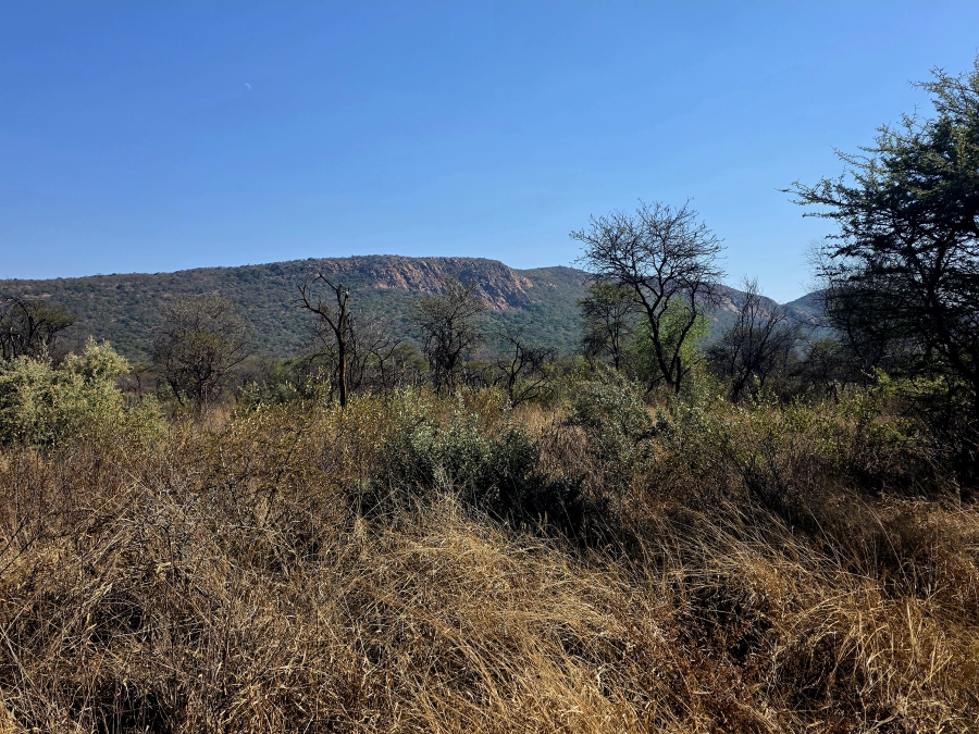 8 Bedroom Property for Sale in Mokopane Rural Limpopo