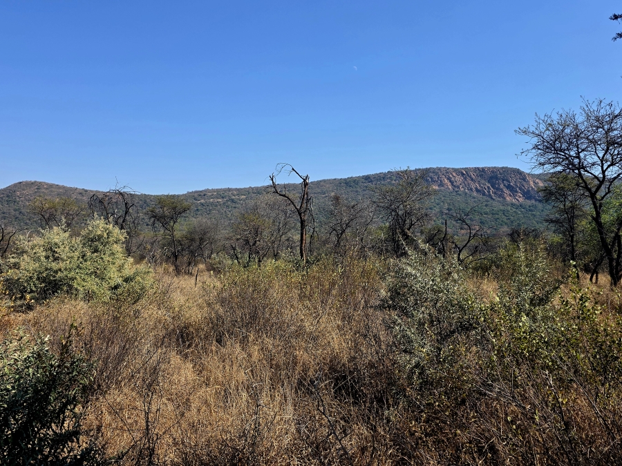 8 Bedroom Property for Sale in Mokopane Rural Limpopo