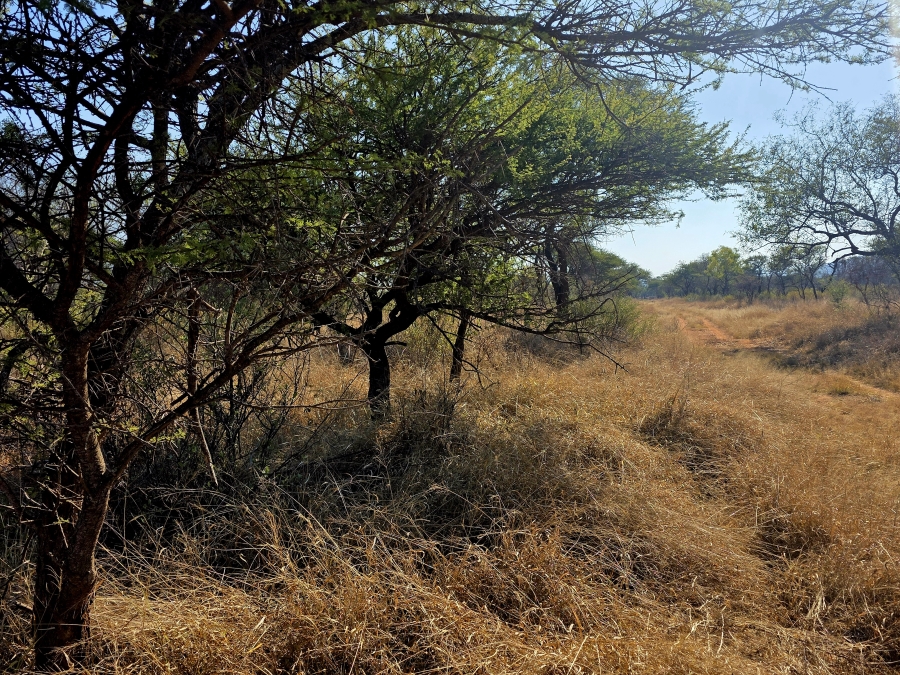 8 Bedroom Property for Sale in Mokopane Rural Limpopo