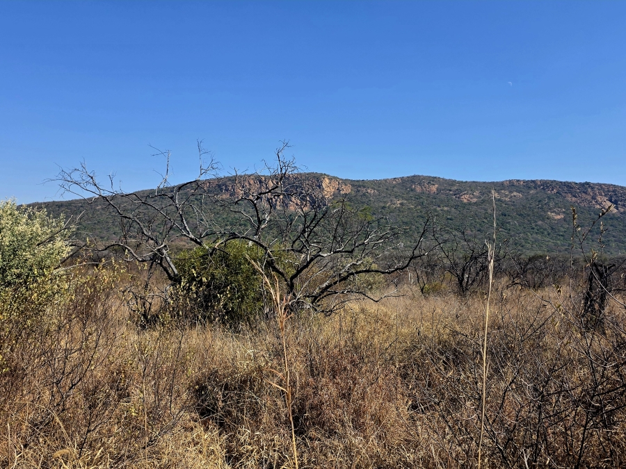 8 Bedroom Property for Sale in Mokopane Rural Limpopo